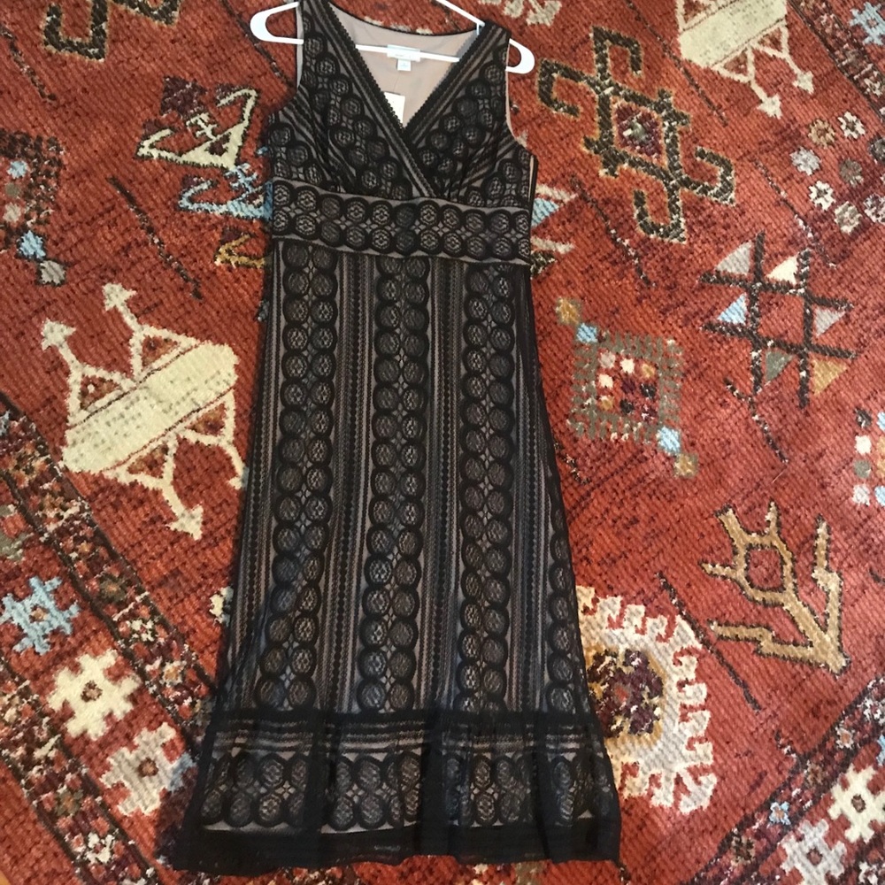 Loft Black and Nude Lace Midi Dress